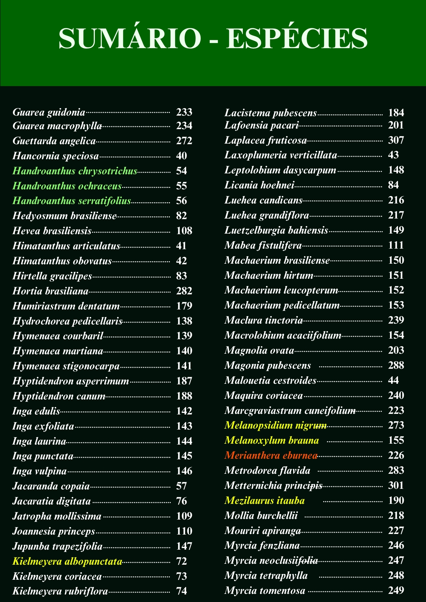Página interna adicional do guia arbóreo